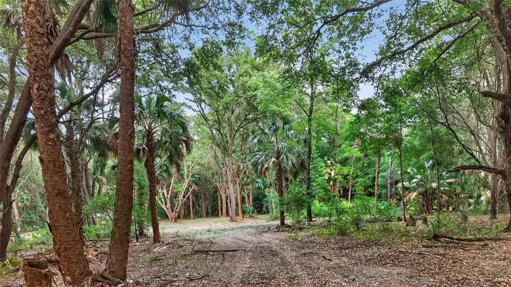 0 N Us Highway 301 Citra FL 32113