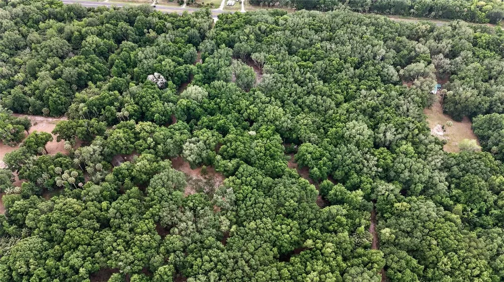 0 N Us Highway 301 Citra FL 32113