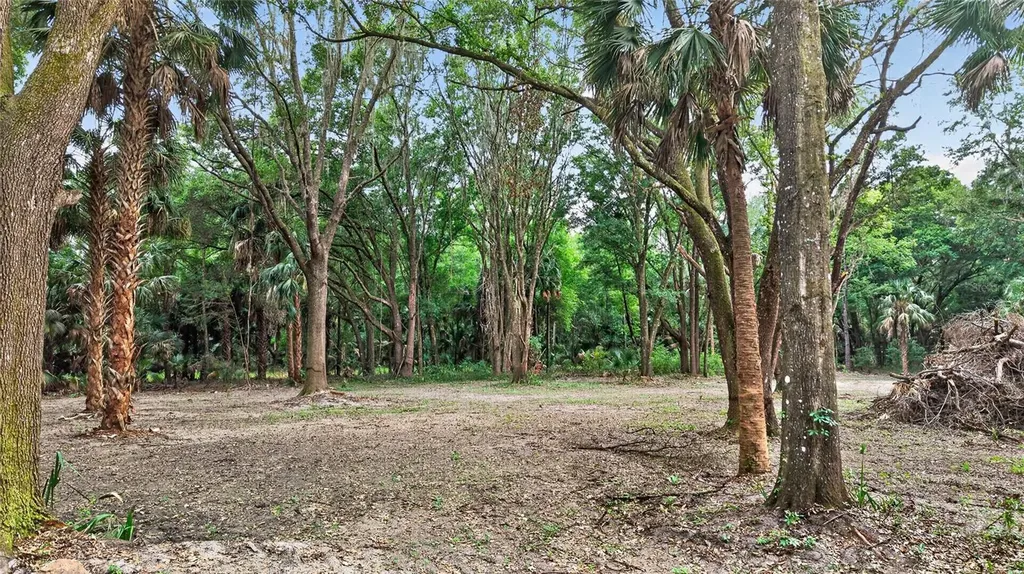0 N Us Highway 301 Citra FL 32113