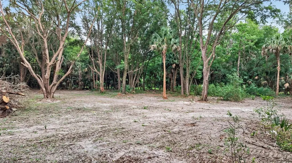 0 N Us Highway 301 Citra FL 32113
