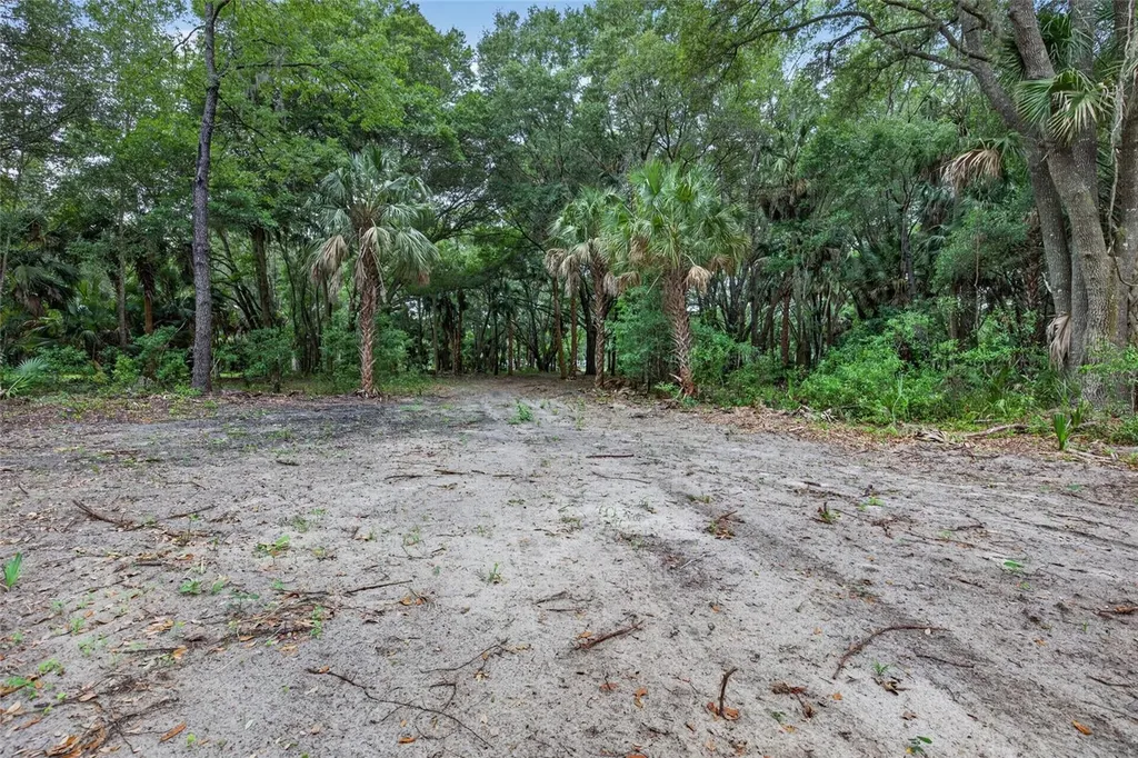 0 N Us Highway 301 Citra FL 32113