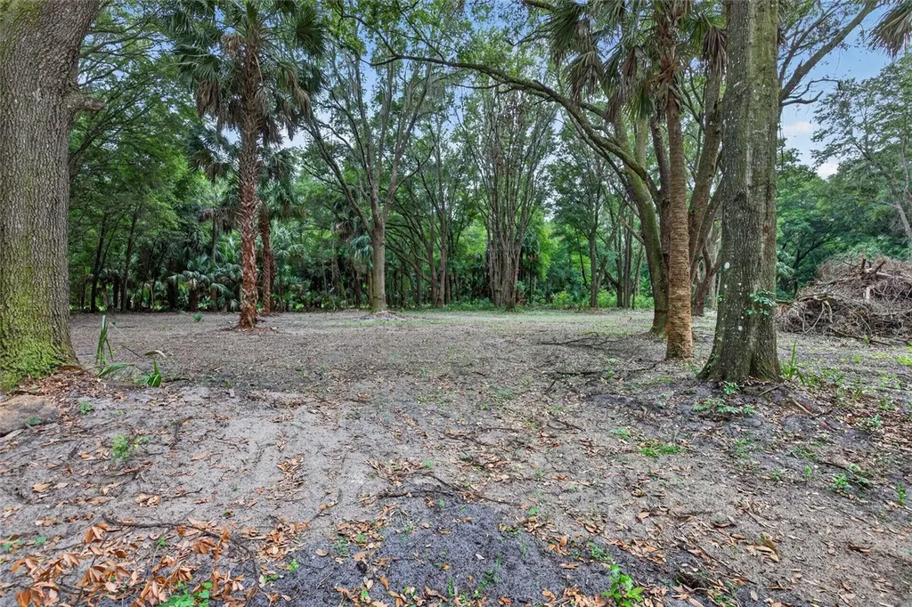 0 N Us Highway 301 Citra FL 32113