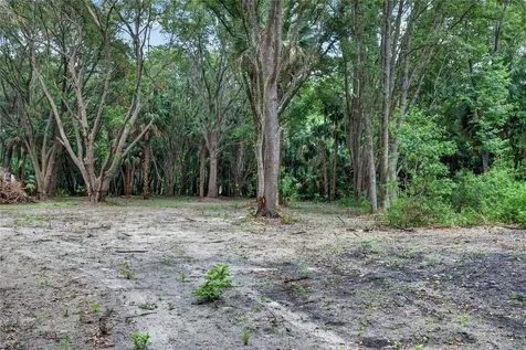 0 N Us Highway 301 Citra FL 32113