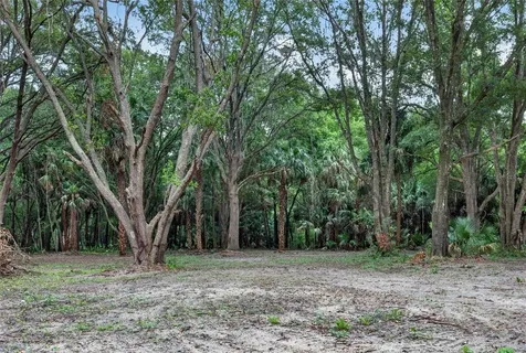0 N Us Highway 301 Citra FL 32113
