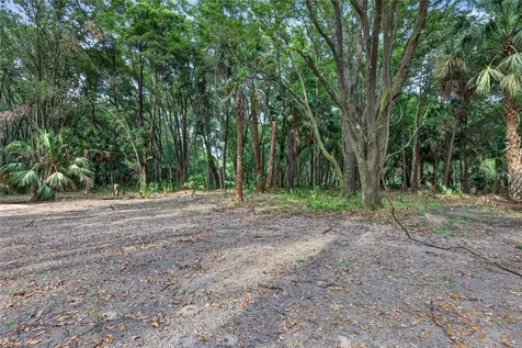 0 N Us Highway 301 Citra FL 32113
