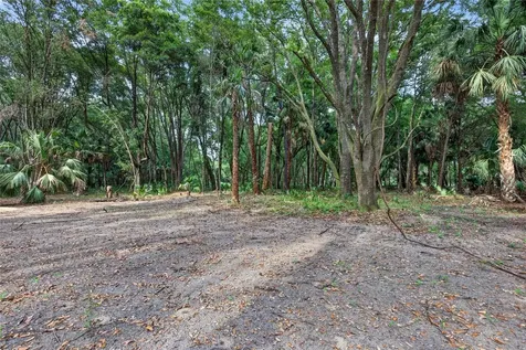 0 N Us Highway 301 Citra FL 32113