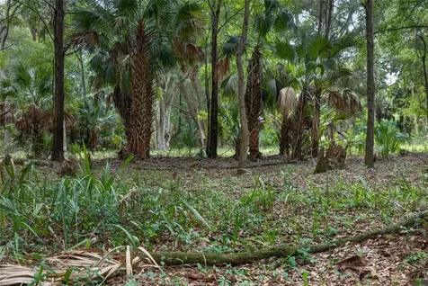 0 N Us Highway 301 Citra FL 32113