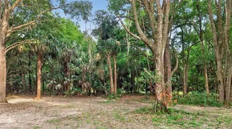 0 N Us Highway 301 Citra FL 32113