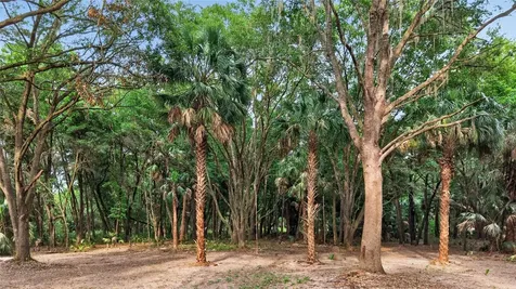 0 N Us Highway 301 Citra FL 32113