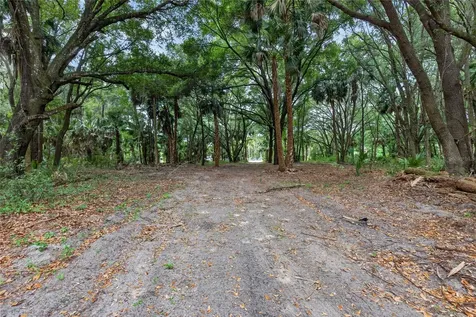 0 N Us Highway 301 Citra FL 32113