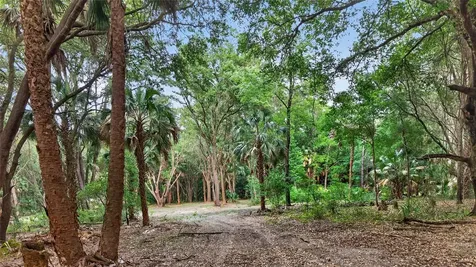 0 N Us Highway 301 Citra FL 32113