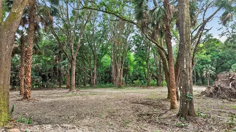0 N Us Highway 301 Citra FL 32113