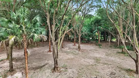 0 N Us Highway 301 Citra FL 32113