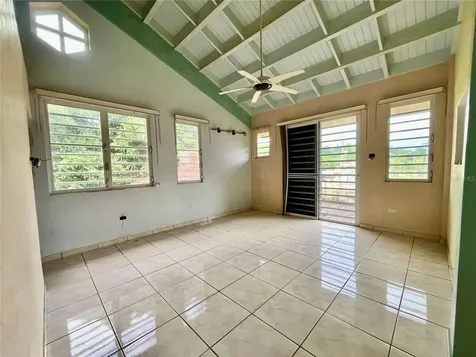 Urb. Naranjo Valley #45 Fajardo PR 00738