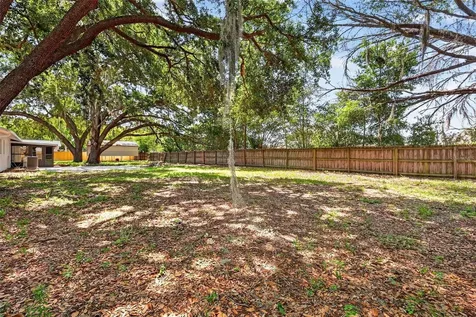 60 Outlook Street Umatilla FL 32784