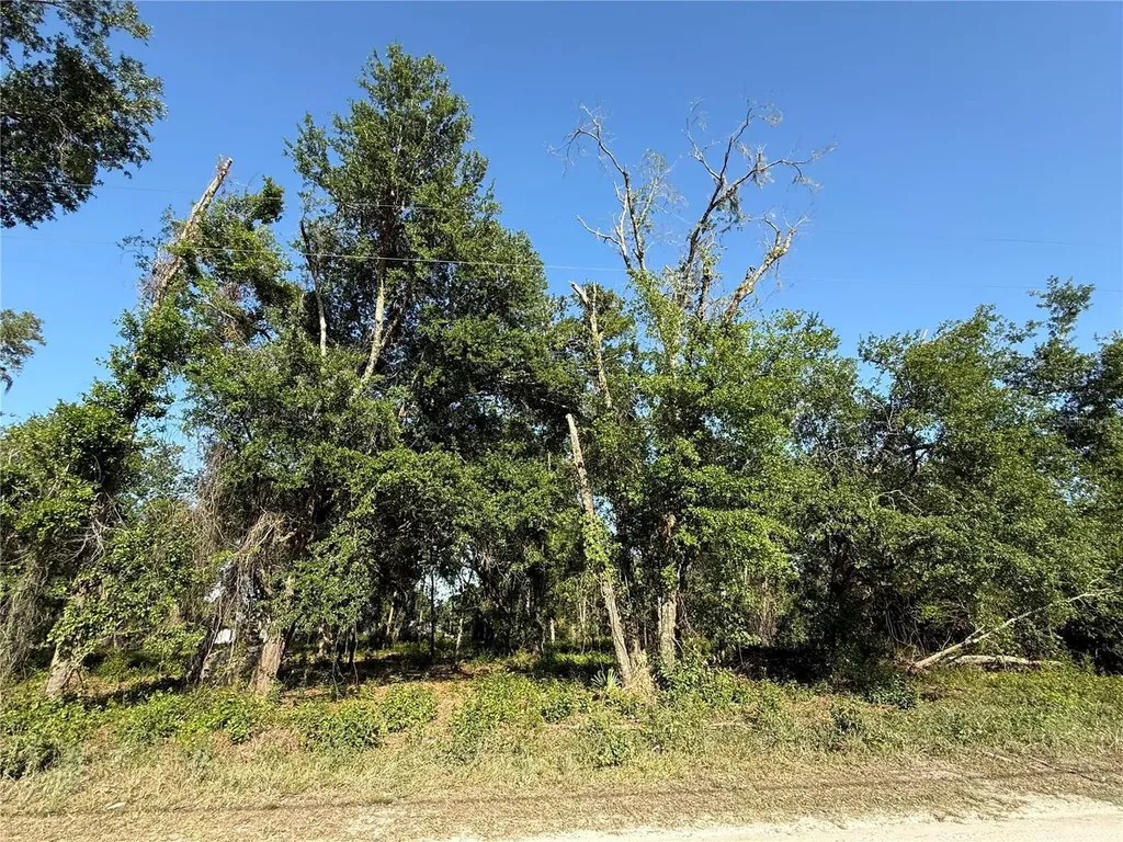Null Owens Drive Zephyrhills FL 33540