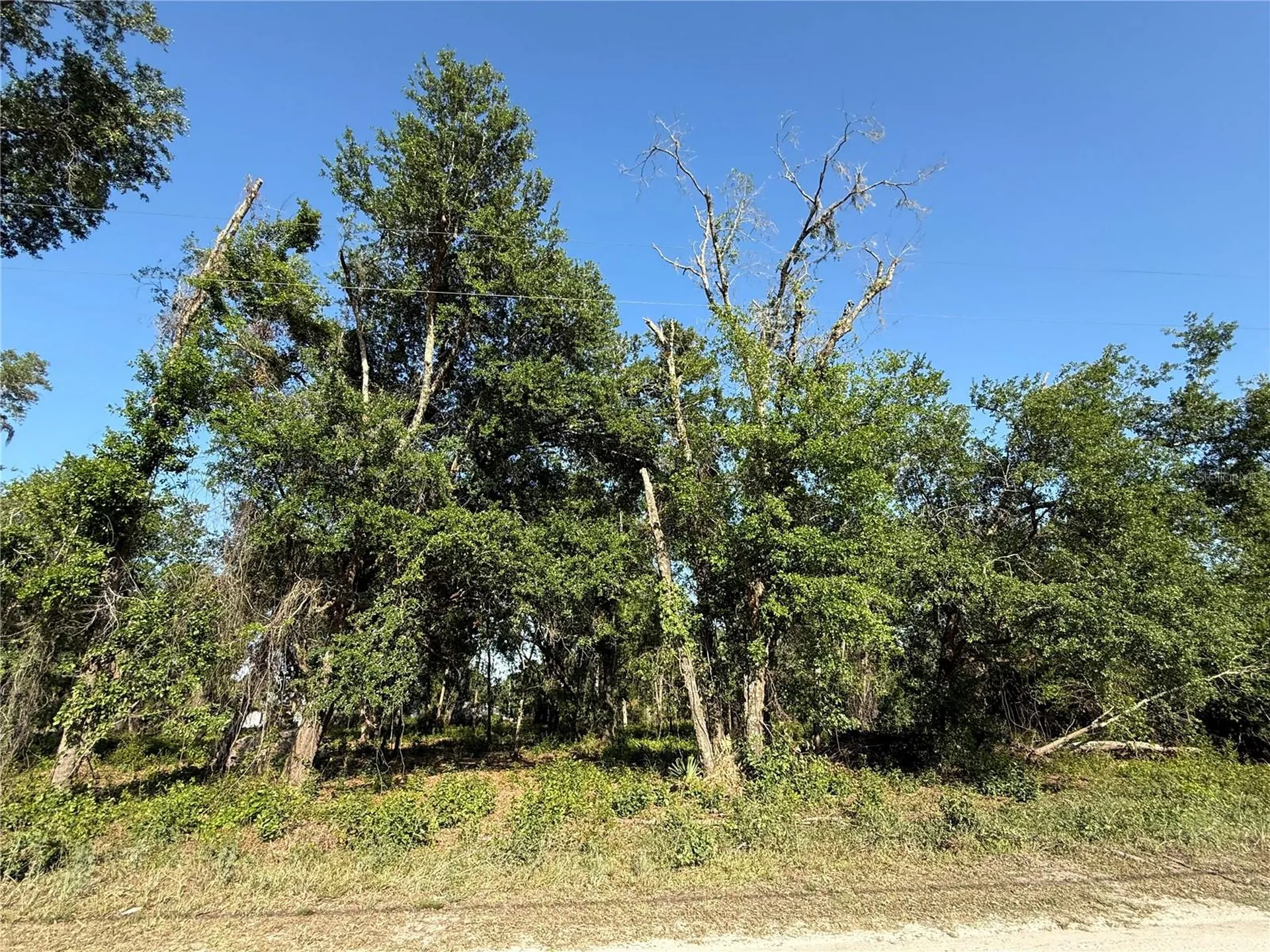 Null Owens Drive Zephyrhills FL 33540