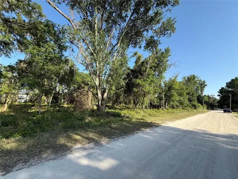 null Owens Drive Zephyrhills FL 33540
