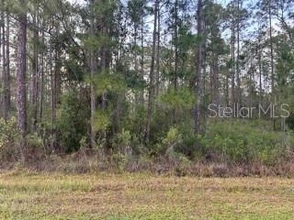 310&312 (BLK368 Lots 5&6) Alba Drive Indian Lake Estates FL 33855