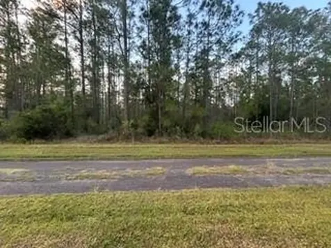 310&312 (BLK368 LOTS 5&6) Alba Drive Indian Lake Estates FL 33855