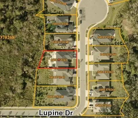7506 Lupine Drive Tampa FL 33610