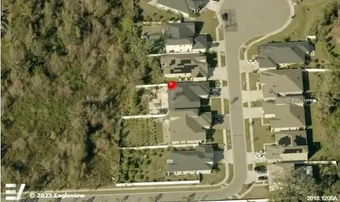 7506 Lupine Drive Tampa FL 33610