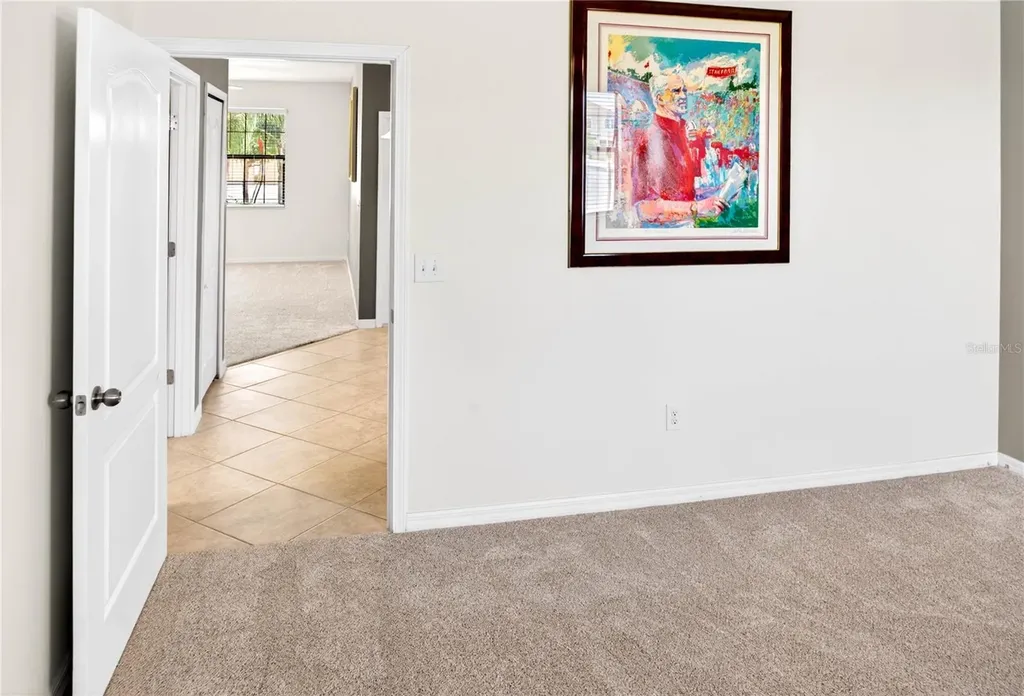 13415 White Sapphire Road Riverview FL 33579