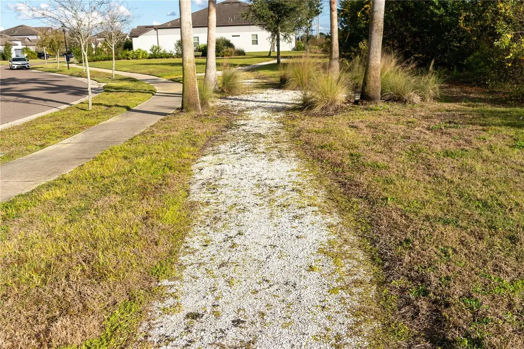 13415 White Sapphire Road Riverview FL 33579