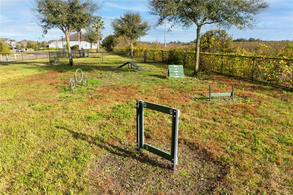 13415 White Sapphire Road Riverview FL 33579