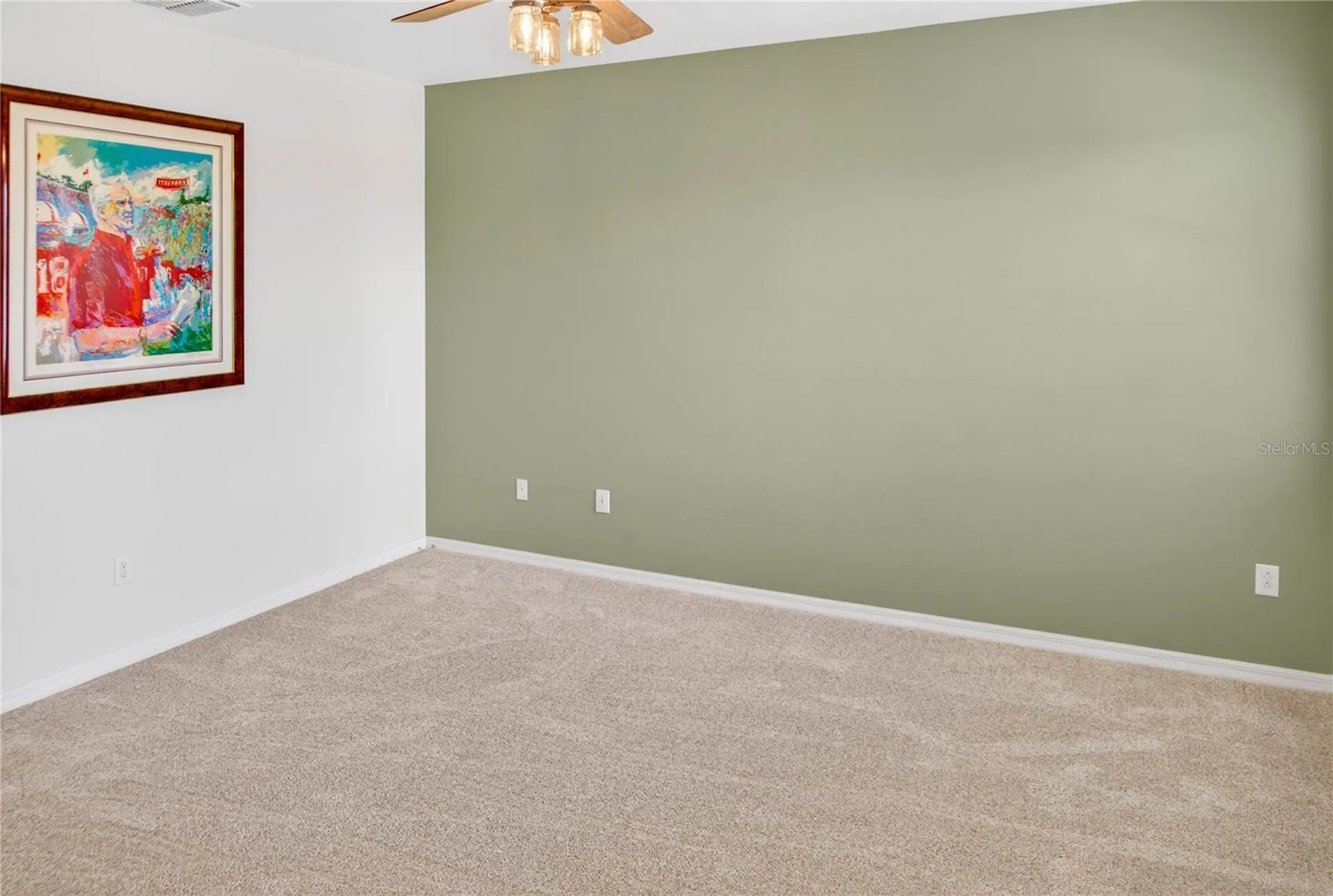 13415 White Sapphire Road Riverview FL 33579