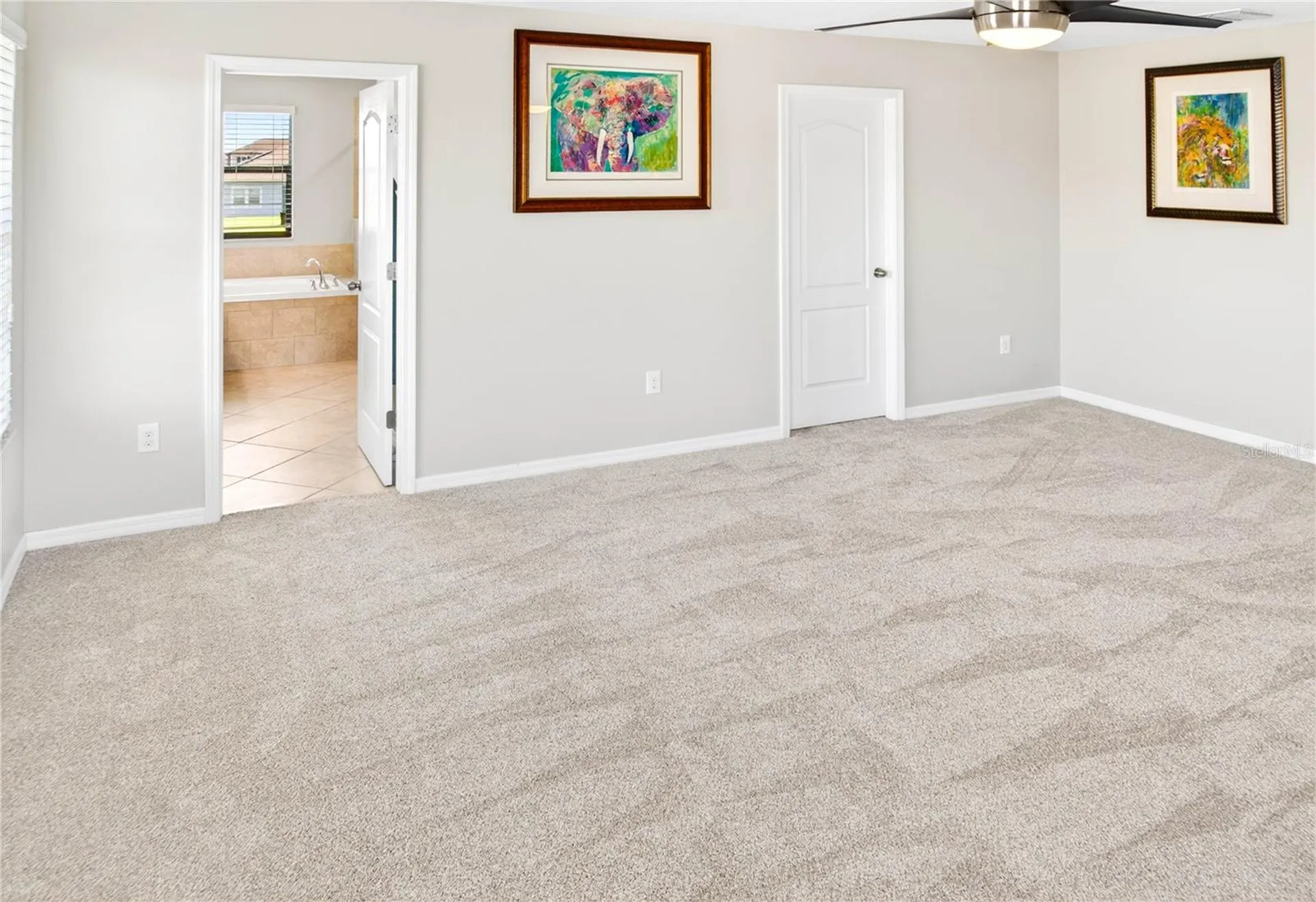 13415 White Sapphire Road Riverview FL 33579