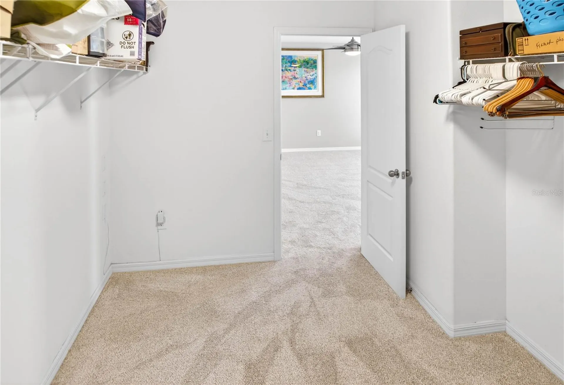 13415 White Sapphire Road Riverview FL 33579