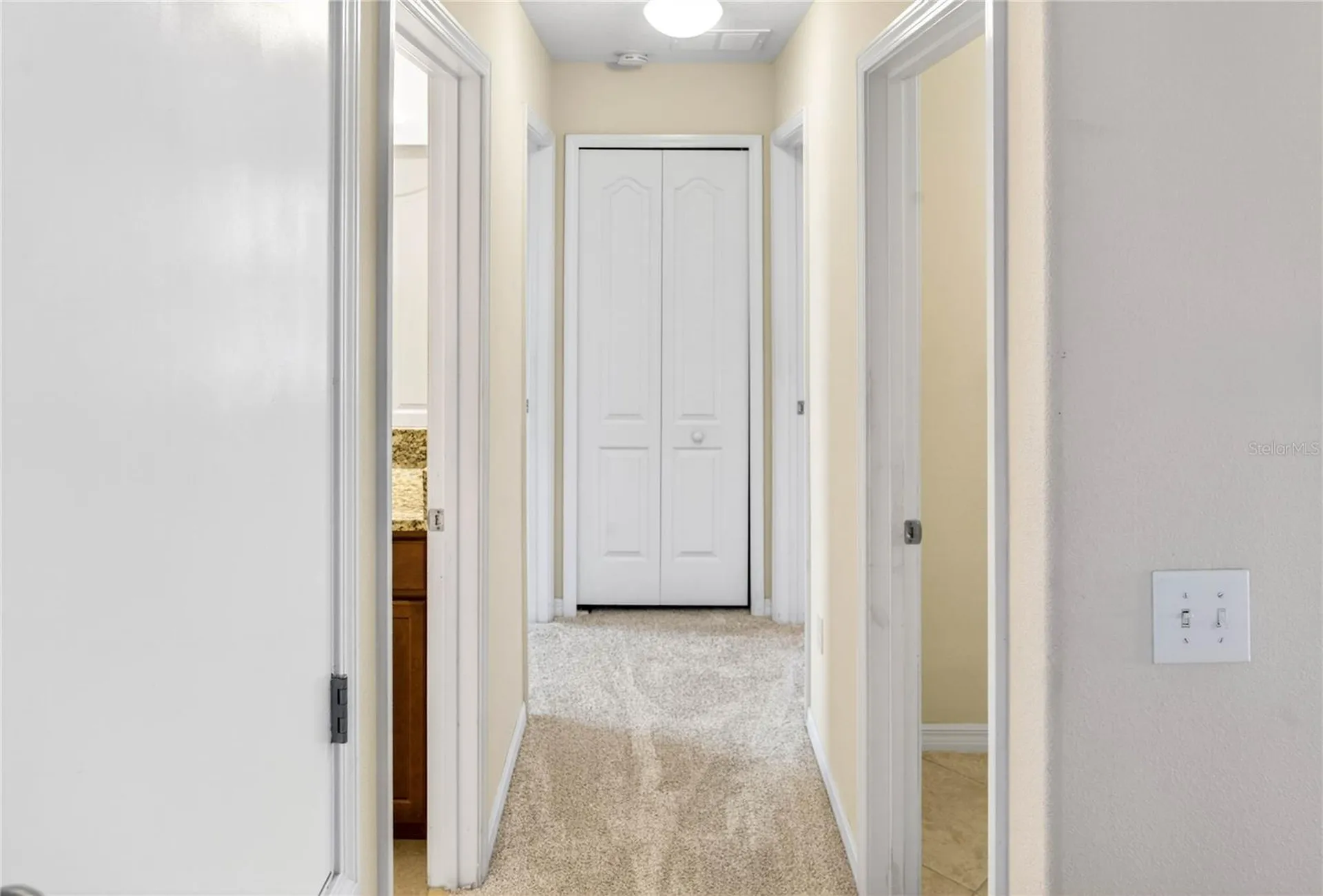 13415 White Sapphire Road Riverview FL 33579