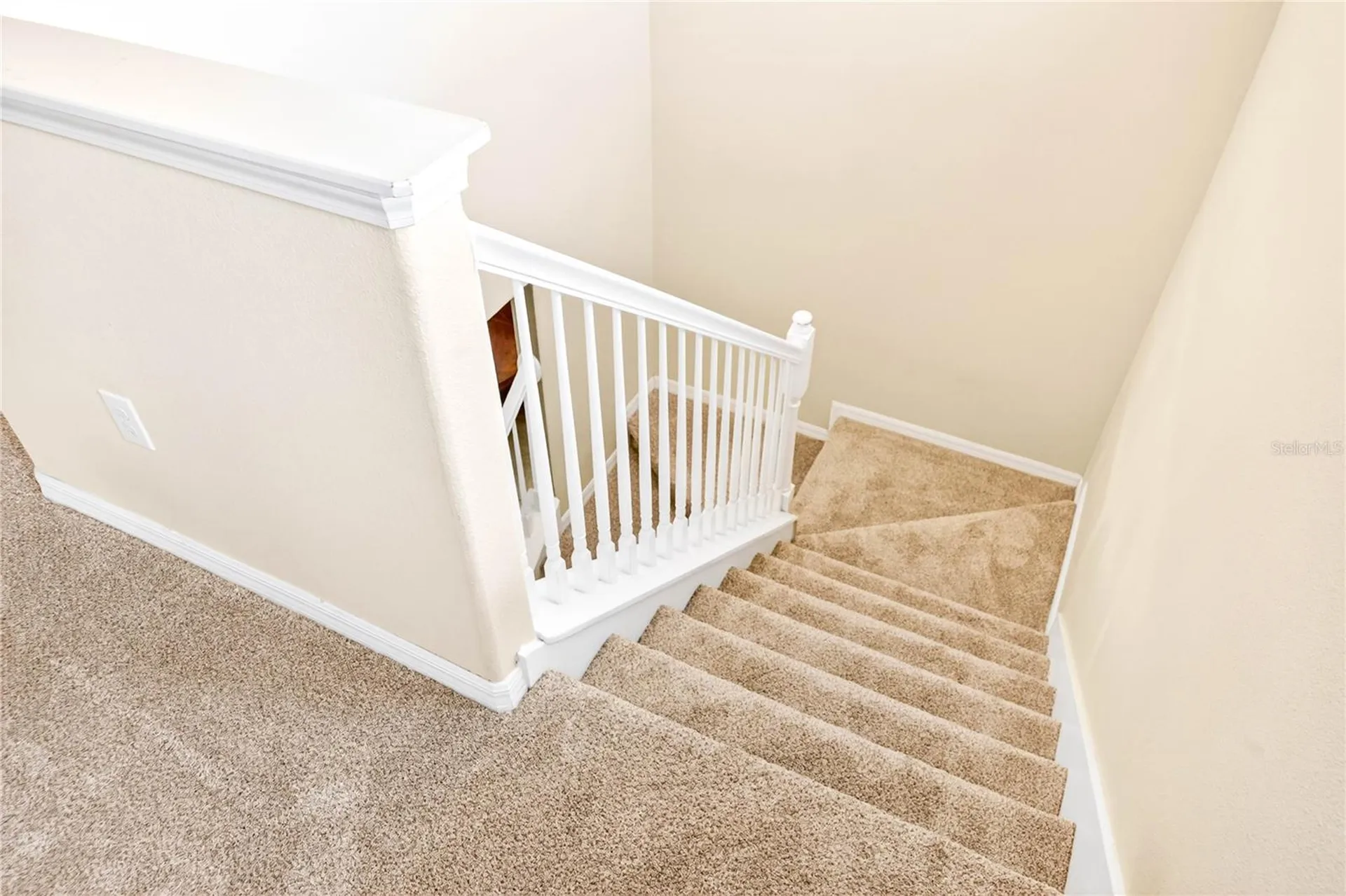13415 White Sapphire Road Riverview FL 33579
