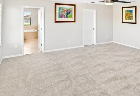13415 White Sapphire Road Riverview FL 33579