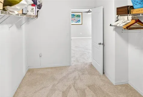 13415 White Sapphire Road Riverview FL 33579