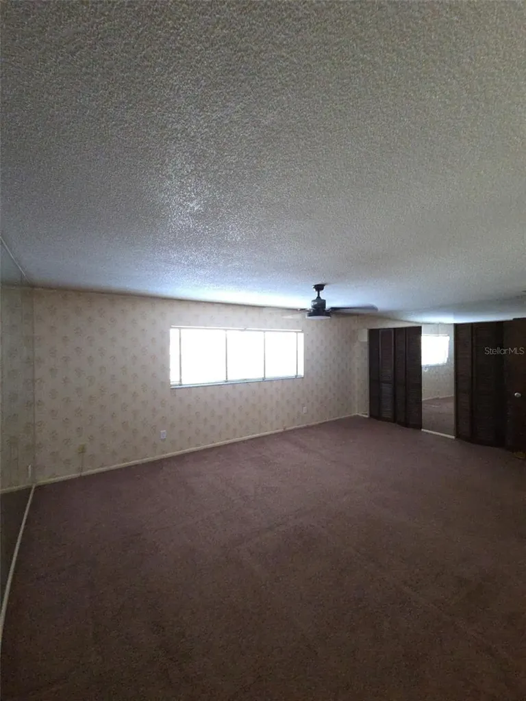 10019 N 52nd Street Tampa FL 33617