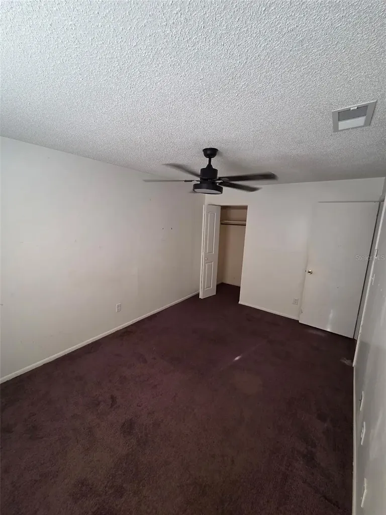 10019 N 52nd Street Tampa FL 33617