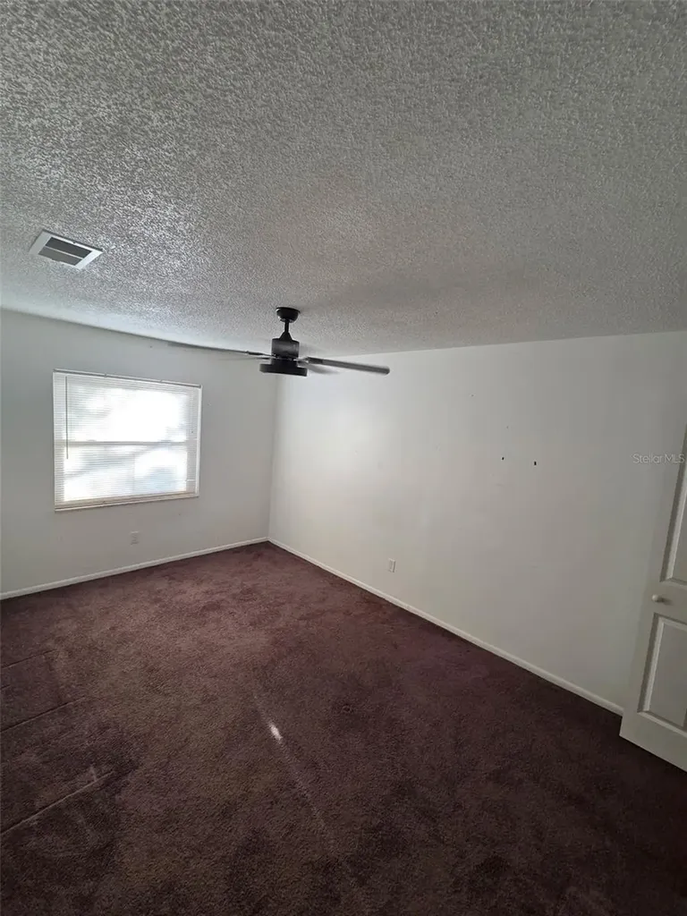 10019 N 52nd Street Tampa FL 33617