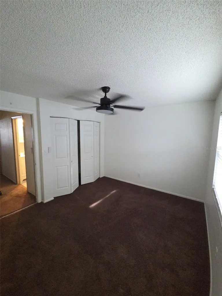 10019 N 52nd Street Tampa FL 33617