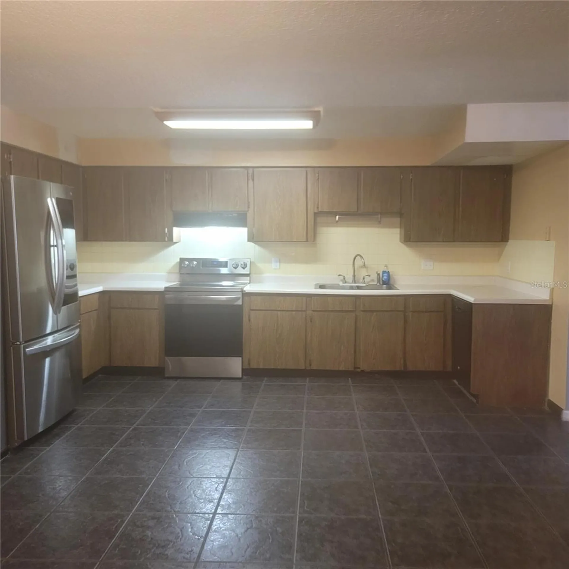 10019 N 52nd Street Tampa FL 33617