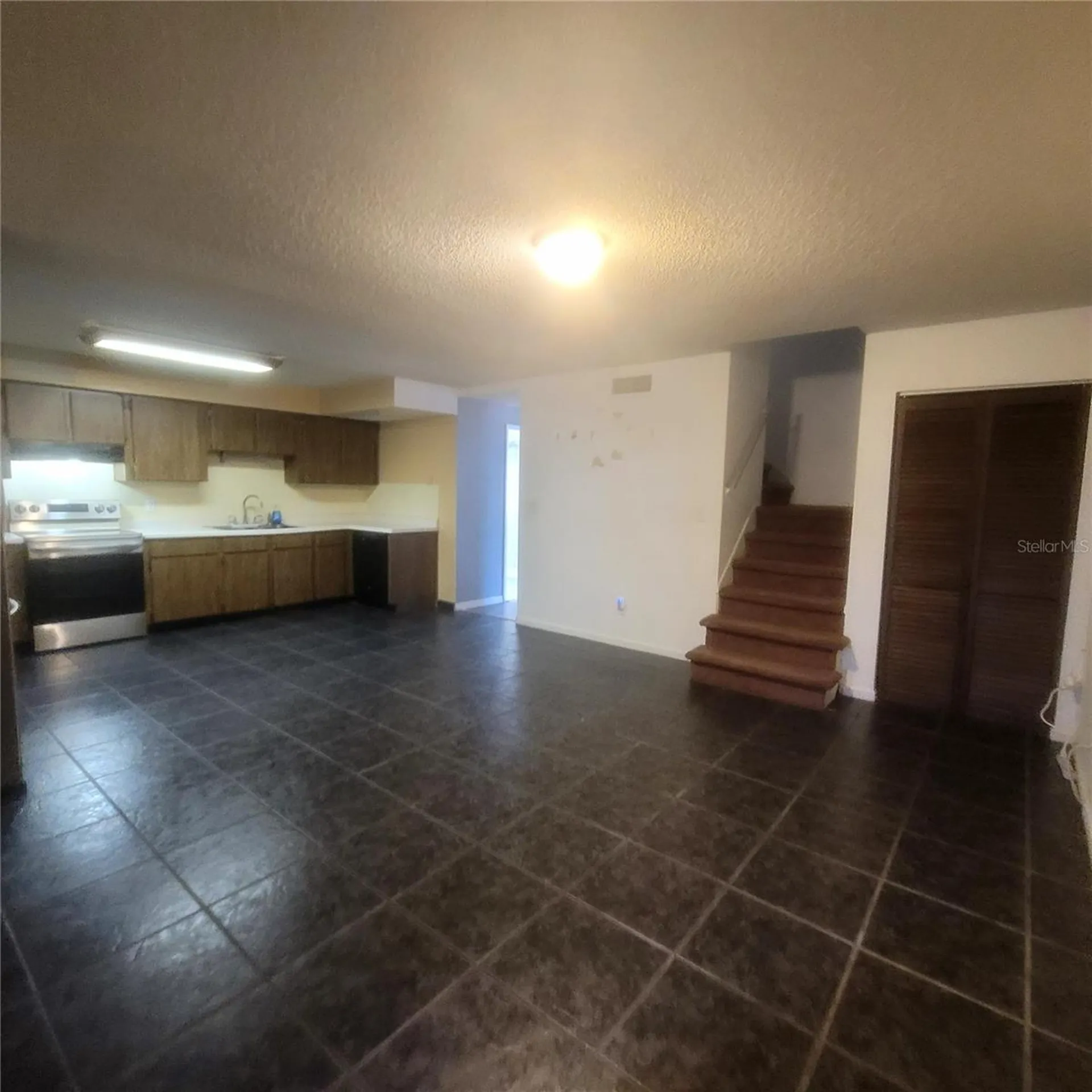 10019 N 52nd Street Tampa FL 33617