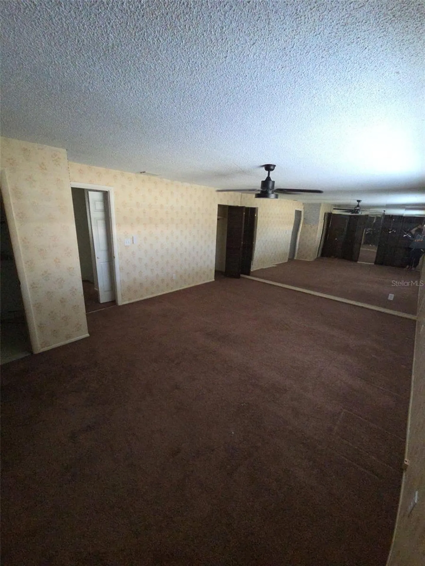 10019 N 52nd Street Tampa FL 33617