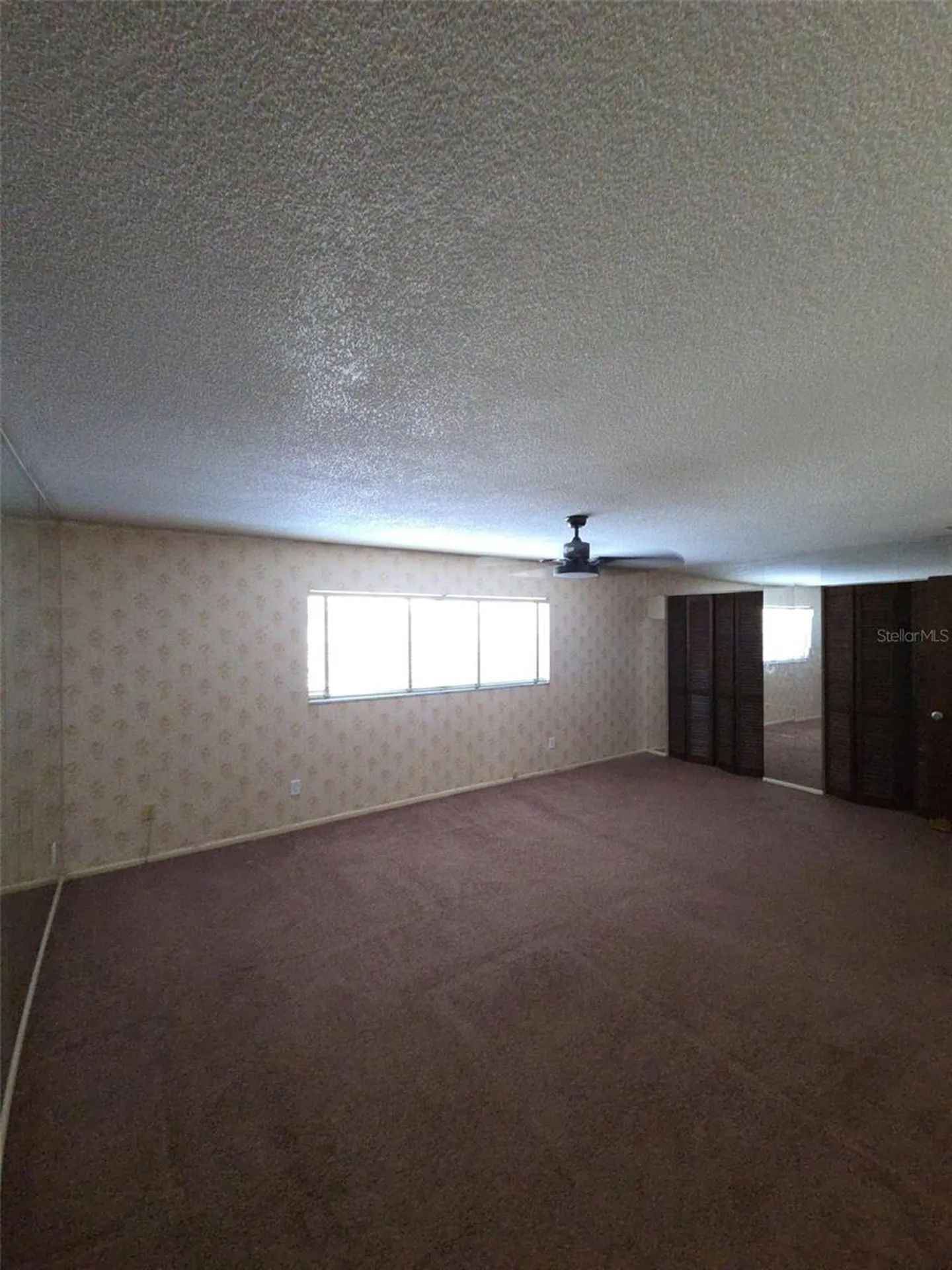 10019 N 52nd Street Tampa FL 33617