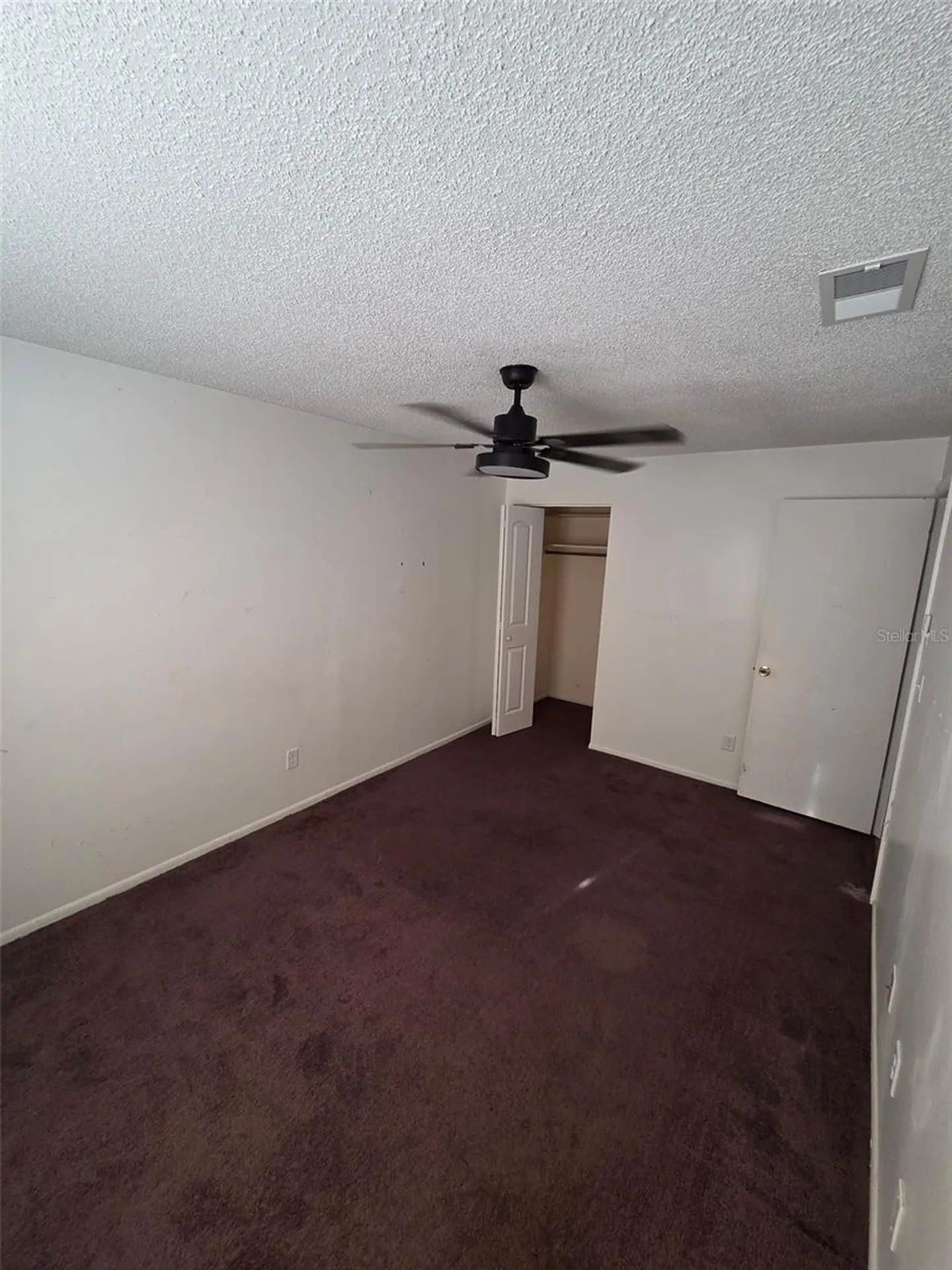 10019 N 52nd Street Tampa FL 33617