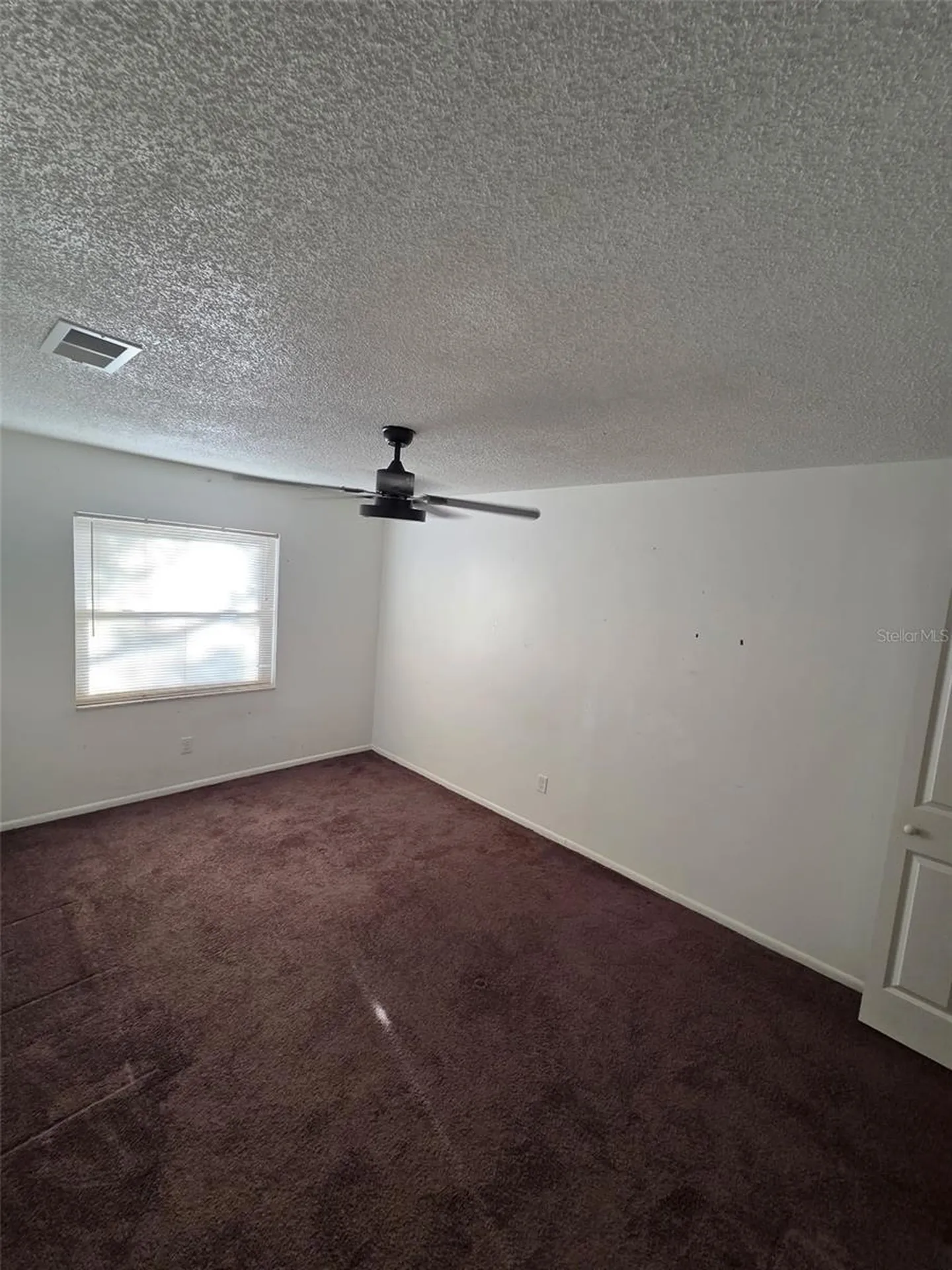 10019 N 52nd Street Tampa FL 33617