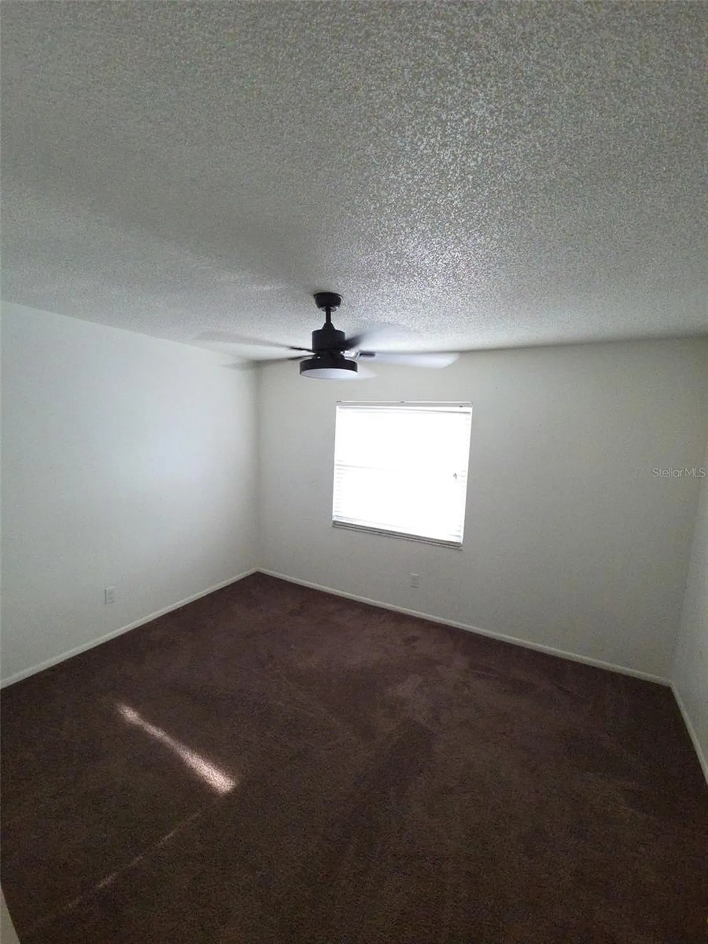 10019 N 52nd Street Tampa FL 33617