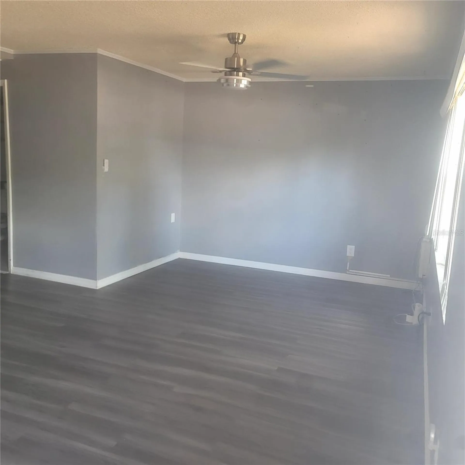 10019 N 52nd Street Tampa FL 33617
