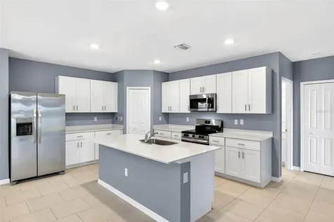 3809 Ambersweet Crossing Parrish FL 34219