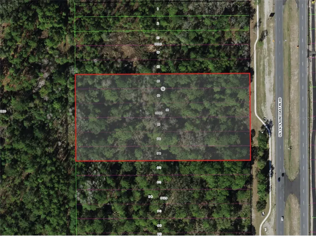 9054 S Suncoast Boulevard Homosassa FL 34446